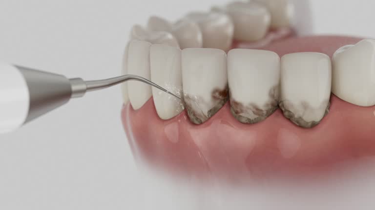 Reliable Dental contractor in Mount Hermon, VA by Dentist Open Now